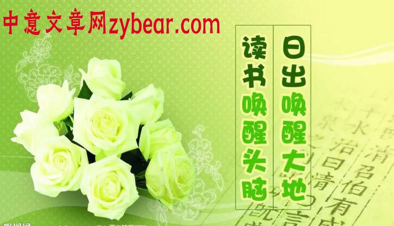 �����ռǣ�ͨ��52ƪ��